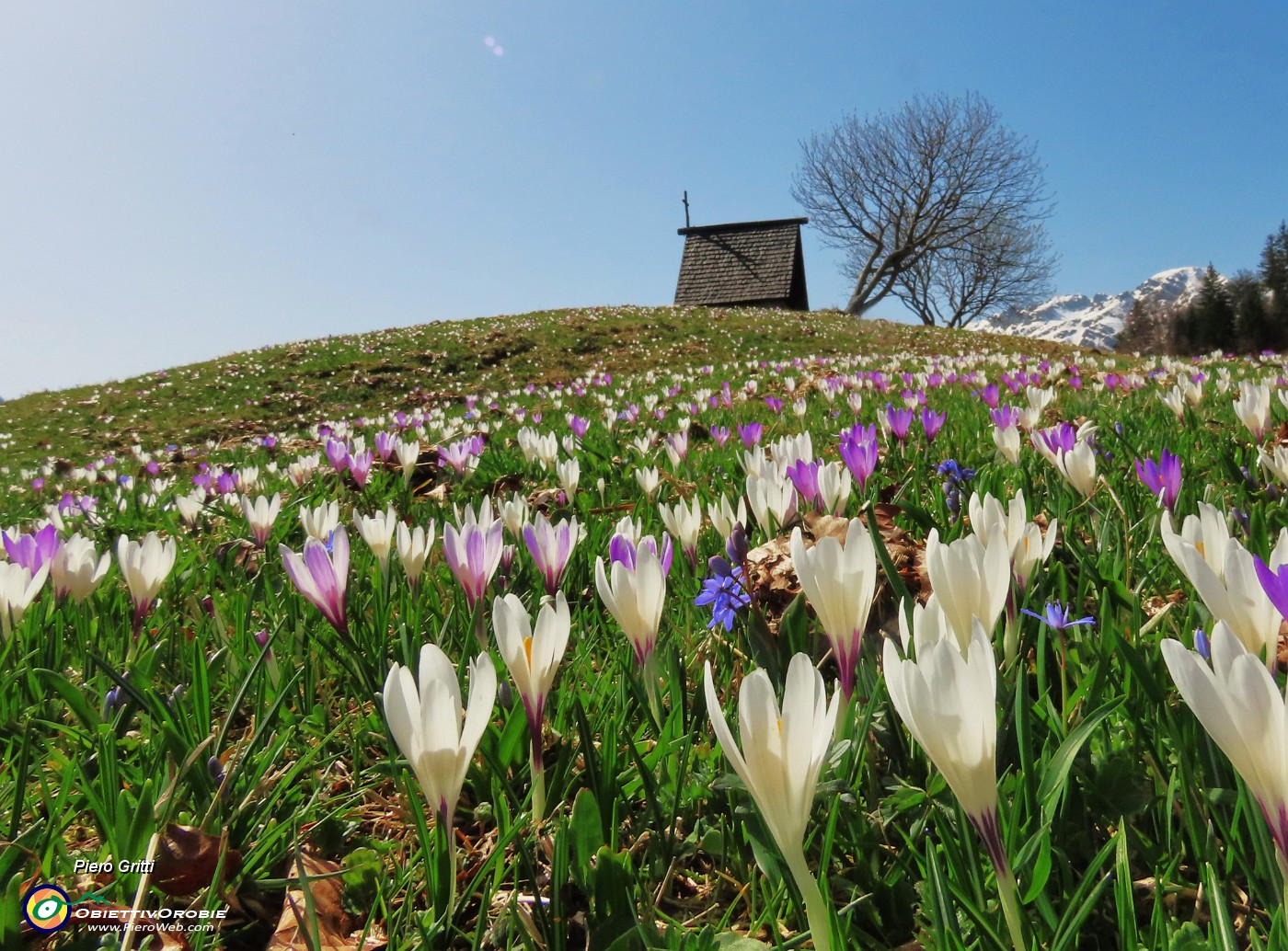 51 Alla bella stilizzata cappella Annovazzi della Pigolotta...tanti fiori .JPG